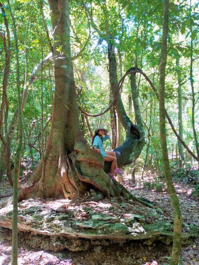 Hostal Mulut Tulum Eksteriør billede